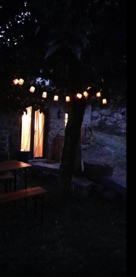 Quinta Abelha Villa Pico Luaran gambar