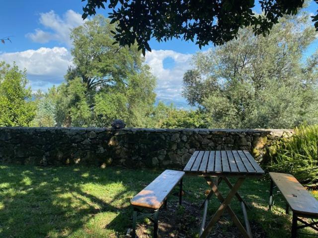 Quinta Abelha Villa Pico Luaran gambar